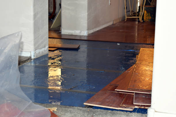 Professional Burst Pipe Cleanup technician working in Kersey, CO
